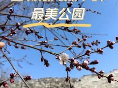 -北京明城墙遗址公园