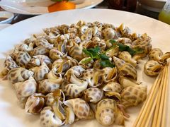 冰镇花螺-大门水乡·顺德菜