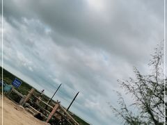 -北海金海湾红树林生态旅游区