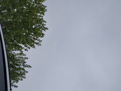 -藁城北服务区-停车场