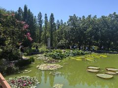 -国家植物园南园