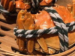 大闸蟹-都会尚膳·海鲜自助餐厅(重庆万豪酒店)
