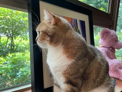 -咖法森林·咖啡  酒吧(天河店)