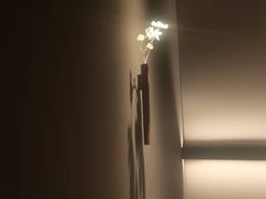 -安屿an·spa(卓悦中心商场店)