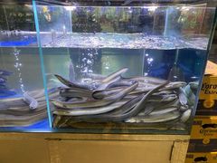 -本炙炭烤·蒲烧活鳗料理店(金沙洲店)