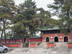 -普乐寺