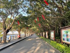 -大湾区中央湿地公园