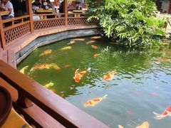 -香麒园·过桥米线·南湖雅宴
