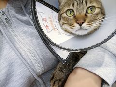 -博特宠物医院24h犬猫全科.骨科·异宠