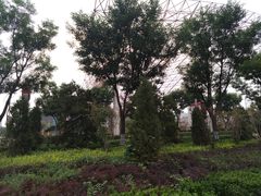 -森林公园(尖草坪区)