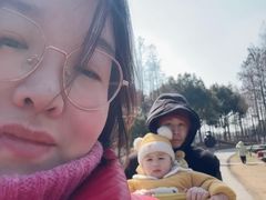 -乌村