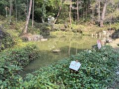 -炎帝陵景区