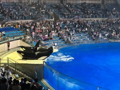 -上海海昌海洋公园