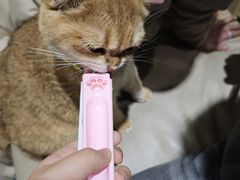 -藏猫猫咖啡主题馆(中央大道店)