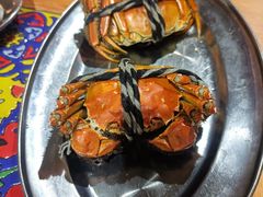 -石岐乳鸽村(南海第三分店)