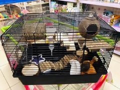 -钓仓鼠(洋桥北里小区店)