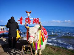 -青海湖国家重点风景名胜区