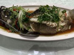 -光头匠