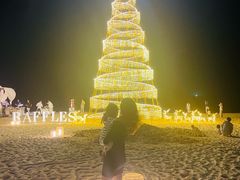 -海南清水湾莱佛士酒店