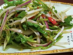 老虎菜-木垒1号庭院