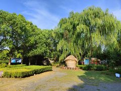 -金山农民画村-枫泾波兰倒置屋