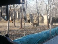-秦皇岛野生动物园