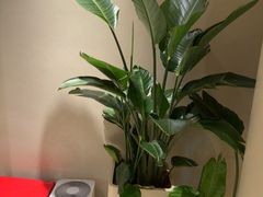 -泰合玺·精油疗愈 SPA(南京河西万达店)