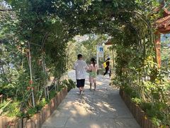 -沂蒙山旅游区云蒙景区(蒙山国家森林公园)