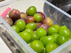 -浩爷羊蝎子火锅(望京店)