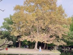 -共青国家森林公园-南大门停车场