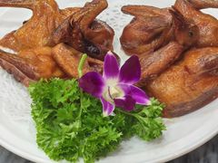 -鸽鸟轩(石岐店)