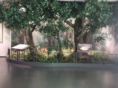 -中国茶叶博物馆(双峰馆区)