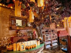 -叶叶菩提(太原别墅店)