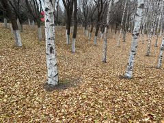 -长春世界雕塑园冰雪艺术天地