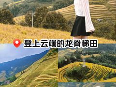 -龙脊梯田风景名胜区游客中心-停车场