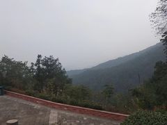 -铁山坪森林公园