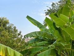 -茅草房·河畔园林火锅