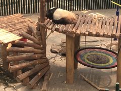 -沈阳森林动物园