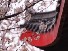 -堤角公园