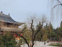 -洛阳白马寺