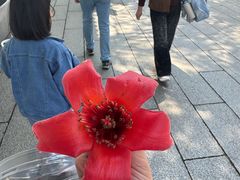 -荔湾湖公园