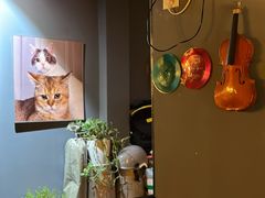 -后院儿·精酿·塔罗Happy Bar