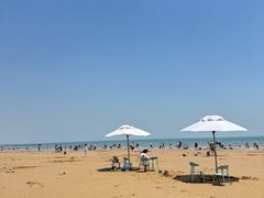 -日照海滨国家森林公园