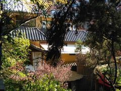 -翠湖里(翠湖南路店)