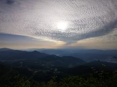 -武陵山森林公园