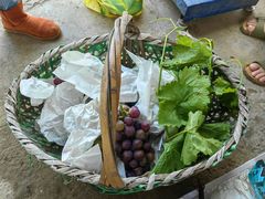 -马陆小张葡萄园农家乐