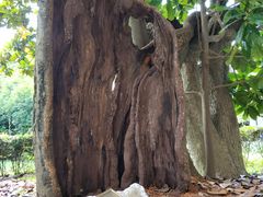 -Patek Philippe百达翡丽(上海源邸店)