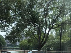 -昆山琶拉帝诗酒店·河畔咖啡厅Riverside Cafe