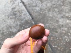 -杨记板栗(天虹总店)