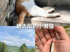 -四门塔风景区